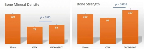 维生素K2 MK7对骨质和骨强度有影响