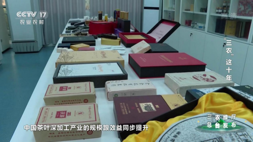 中国茶如何提高整体效益？刘仲华院士答央视记者问。