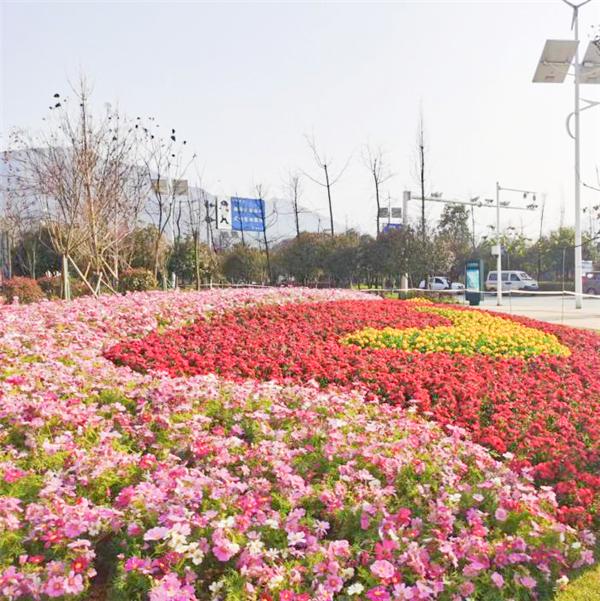 
                            湖南建投基础投相山公司服务第二届湖南旅发大会奋战郴州城市风貌提质改造项目
                        
