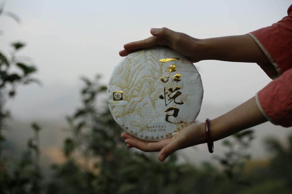 临沧谷茶商贸有限公司成功入围《国货优品》栏目评选